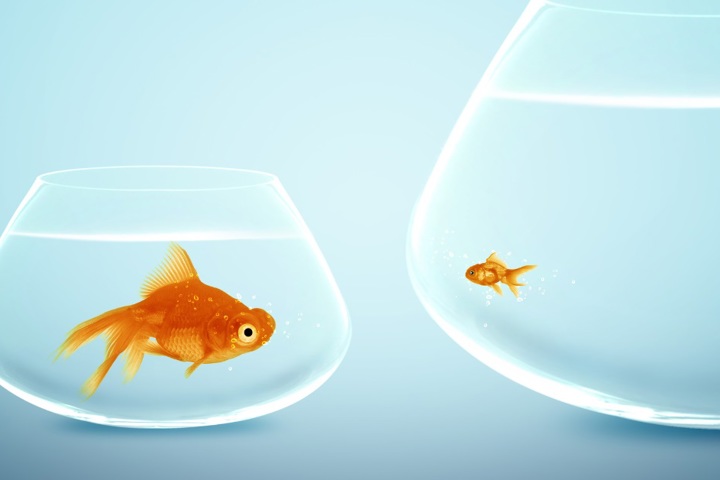 Choosing Between A Big and Small Consultancy as a Quantity Surveyor