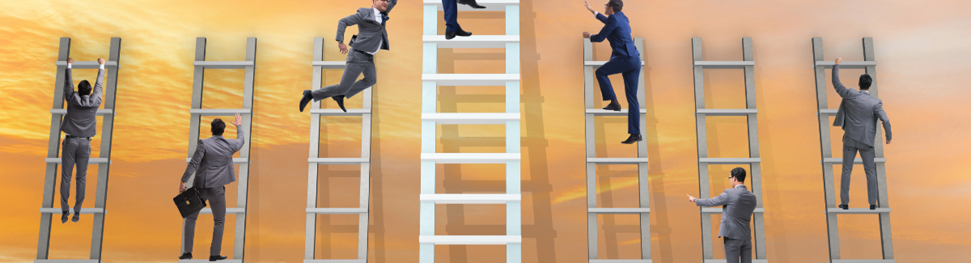 Career Progresion (2)